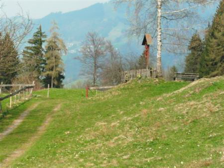 Steckenweg Dornbirn - Emsreute