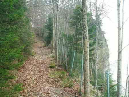 Steckenweg Dornbirn - Emsreute