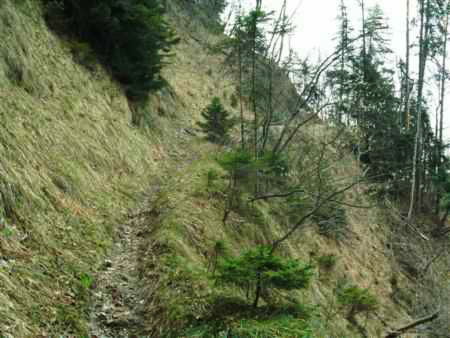 Steckenweg Dornbirn - Emsreute