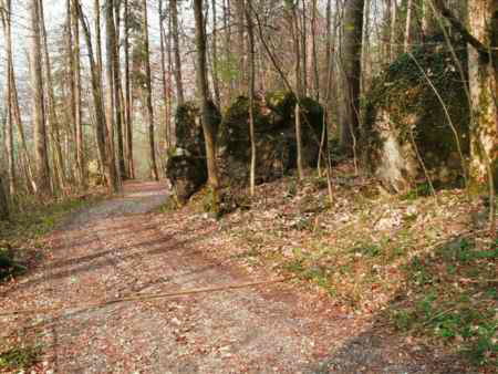 Steckenweg Dornbirn - Emsreute