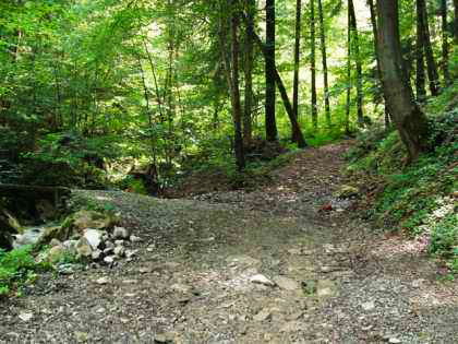 Fallbach, Dornbirn