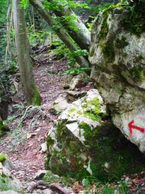 Fallbach Dornbirn, Wanderweg