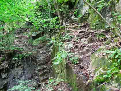 Fallbach Dornbirn, Wanderweg