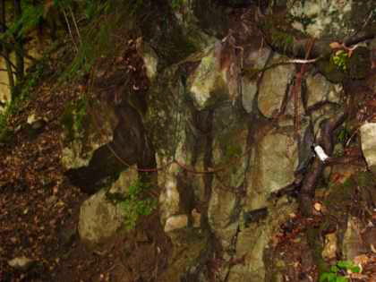 Fallbach Dornbirn, Wanderweg