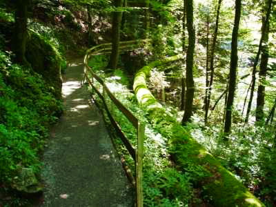 Rappenlochschlucht Dornbirn