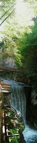 Rappenlochschlucht Dornbirn