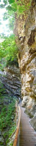Rappenlochschlucht Dornbirn