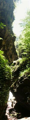 Rappenlochschlucht Dornbirn