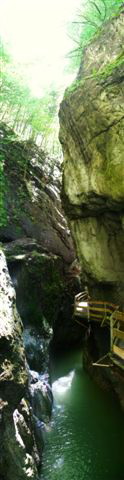 Rappenlochschlucht Dornbirn