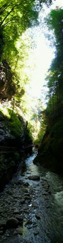 Rappenlochschlucht Dornbirn