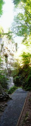 Rappenlochschlucht Dornbirn